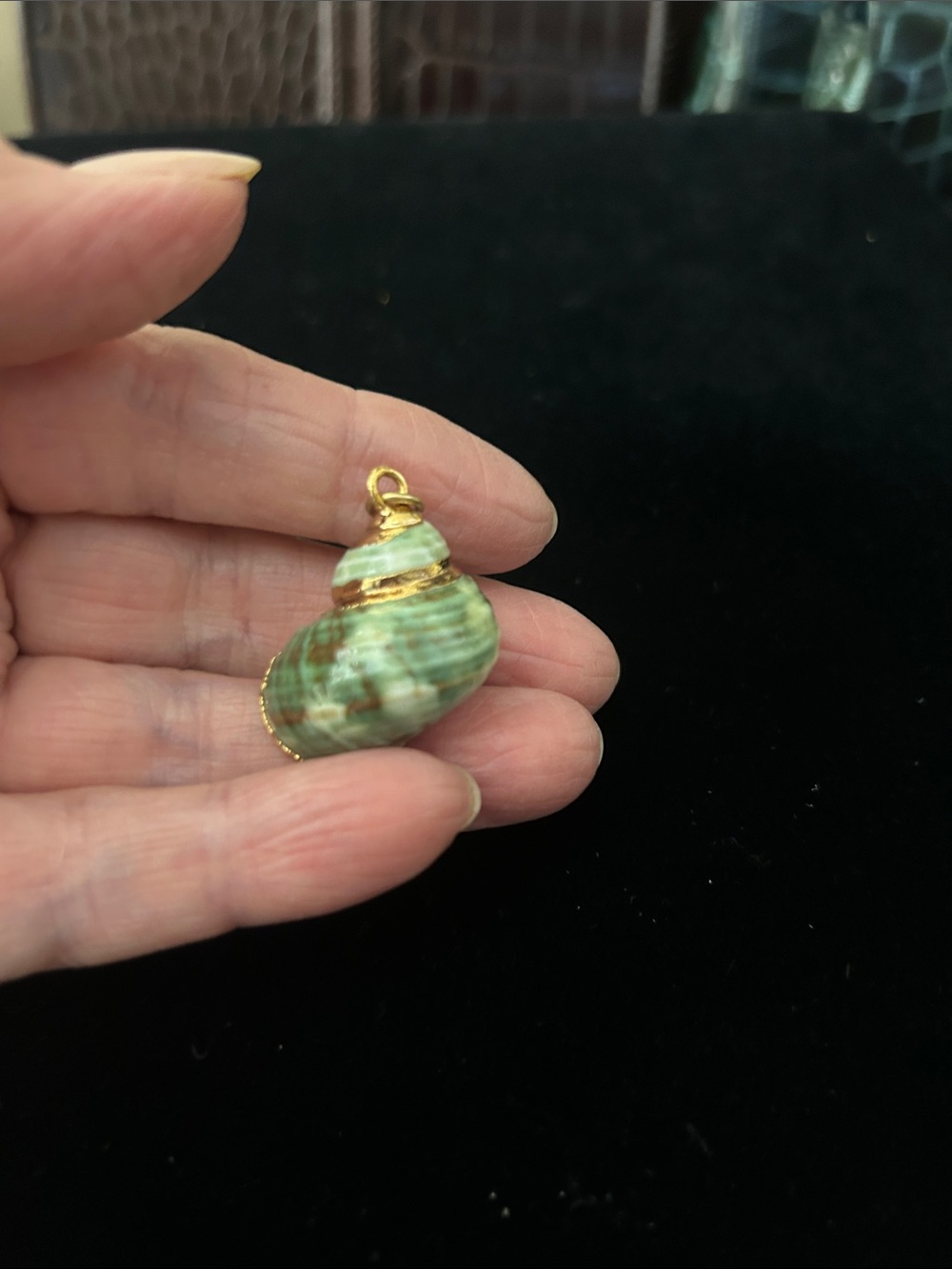 Green Shell Pendant Necklace Charm - Gold Accents